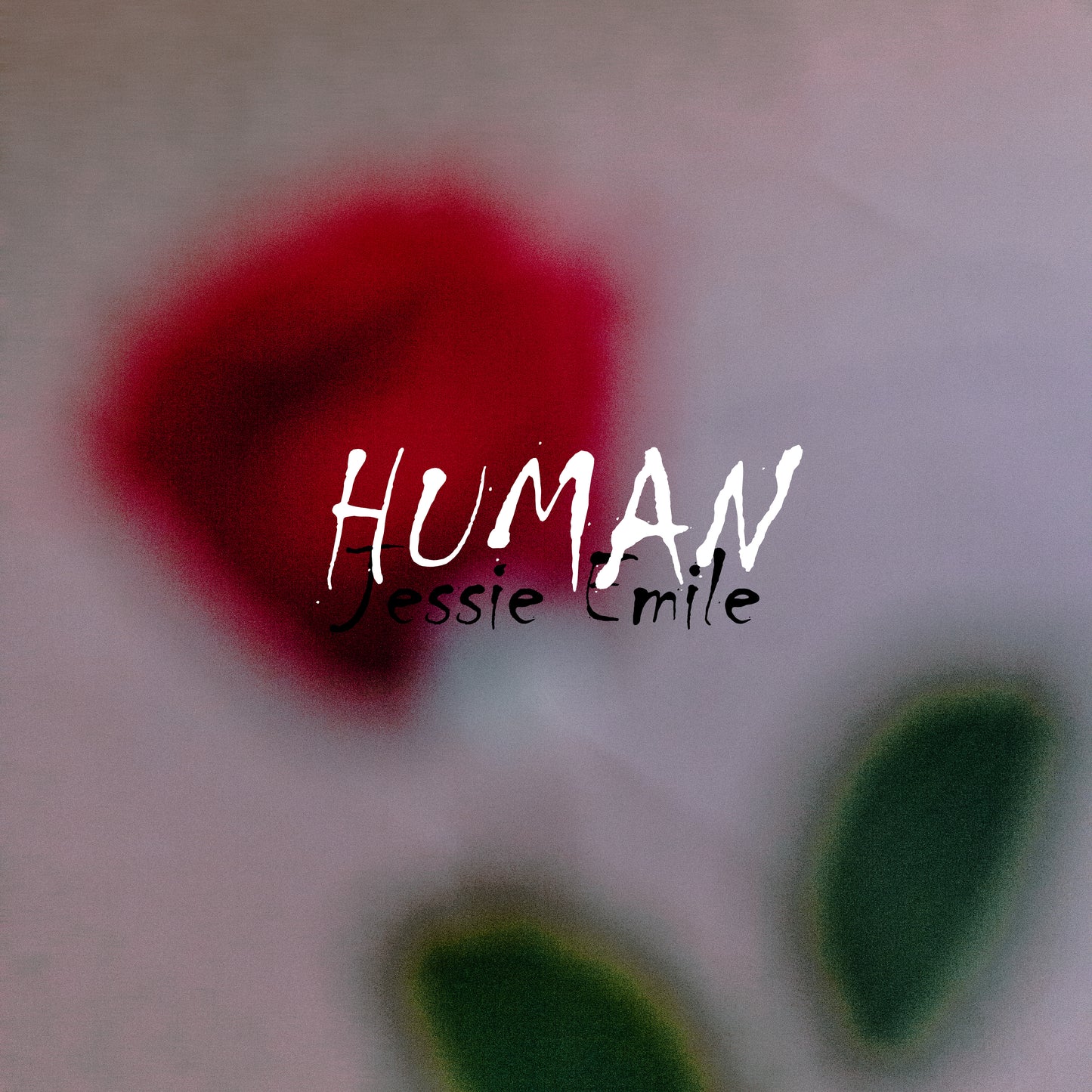 Human (MP3)