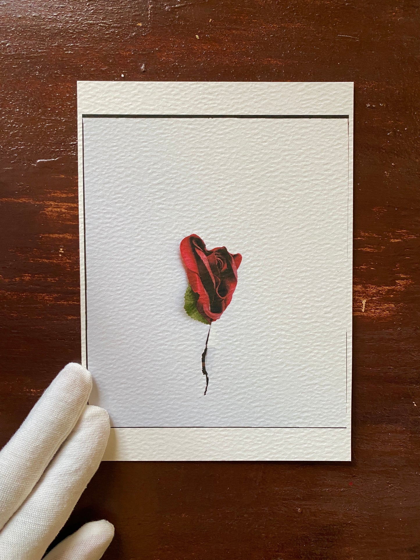 Bloody [Secret Garden] - 5 x 7 Cotton Print