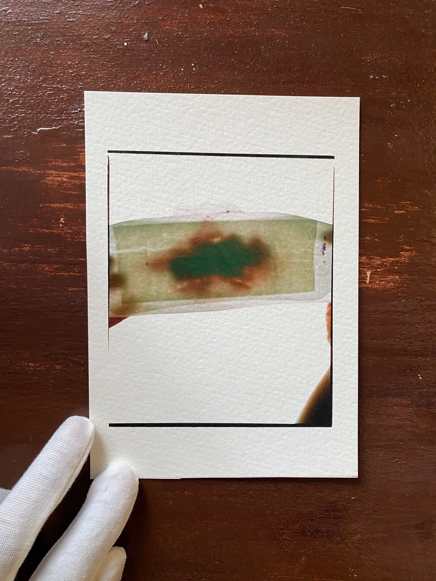 Serviette [Secret Garden] - 5 x 7 Cotton Print