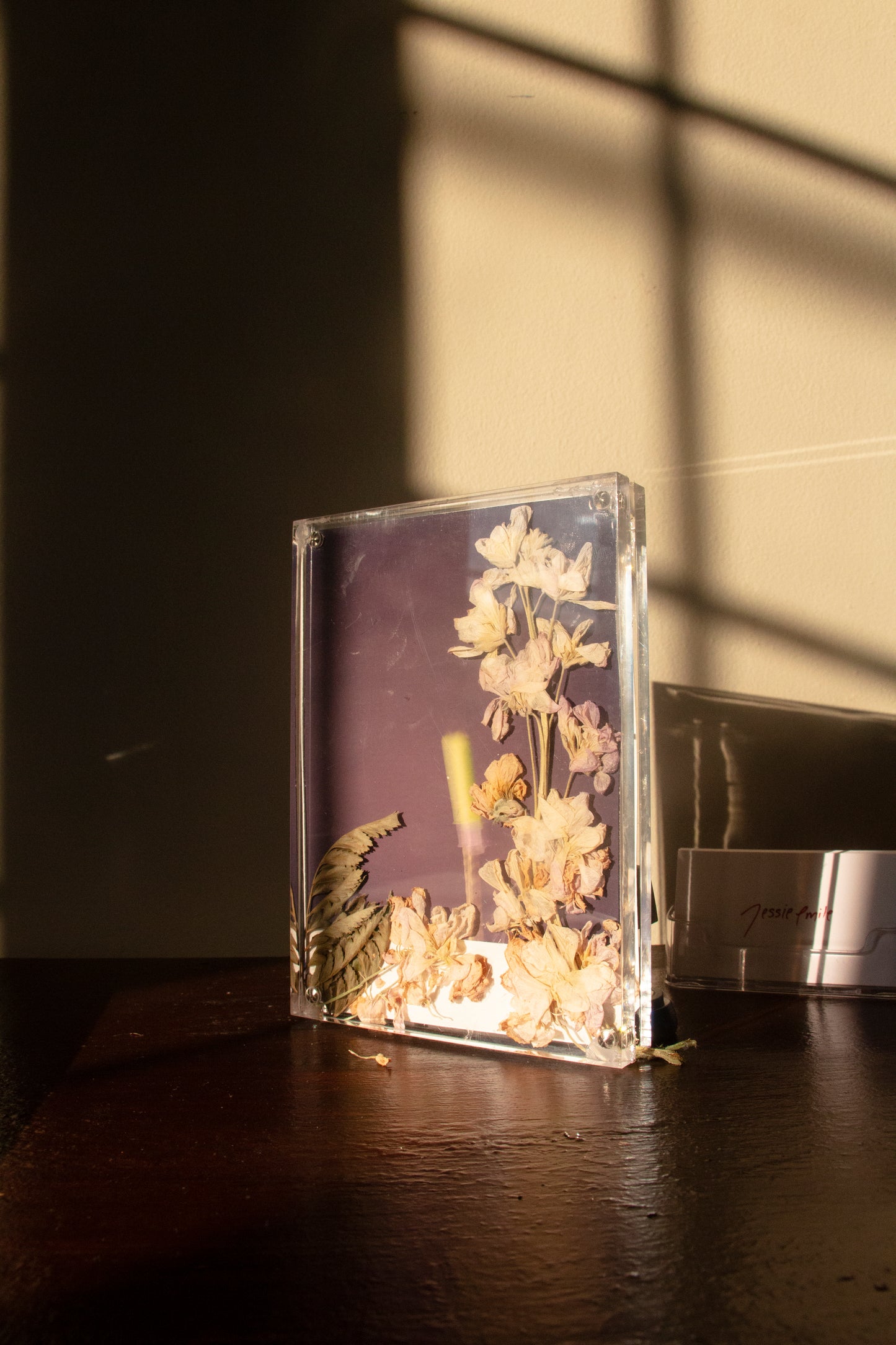 Garden Frame 002 [Secret Garden] - 5 x 7