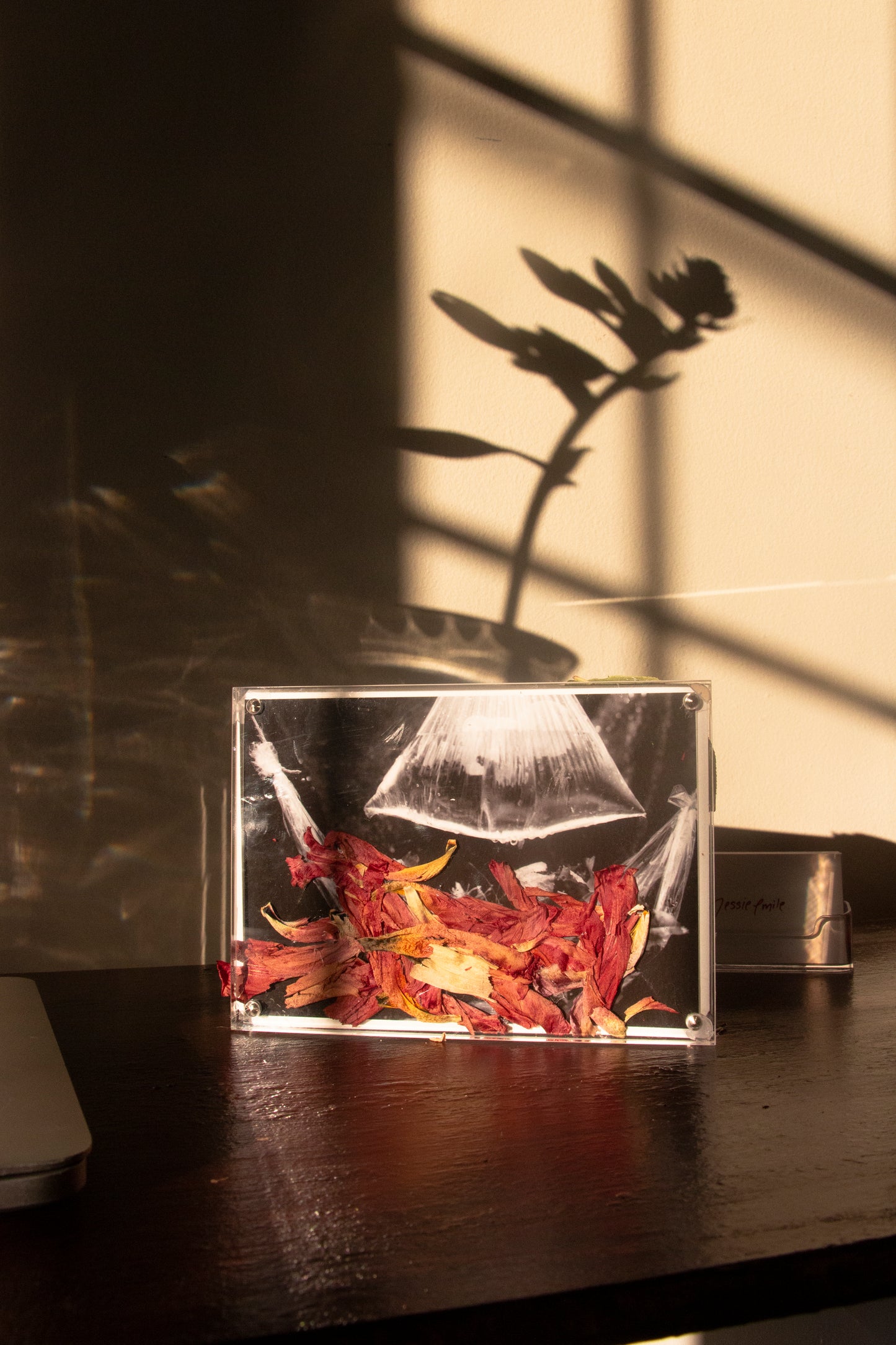 Garden Frame 009 [Secret Garden] - 7 x 5