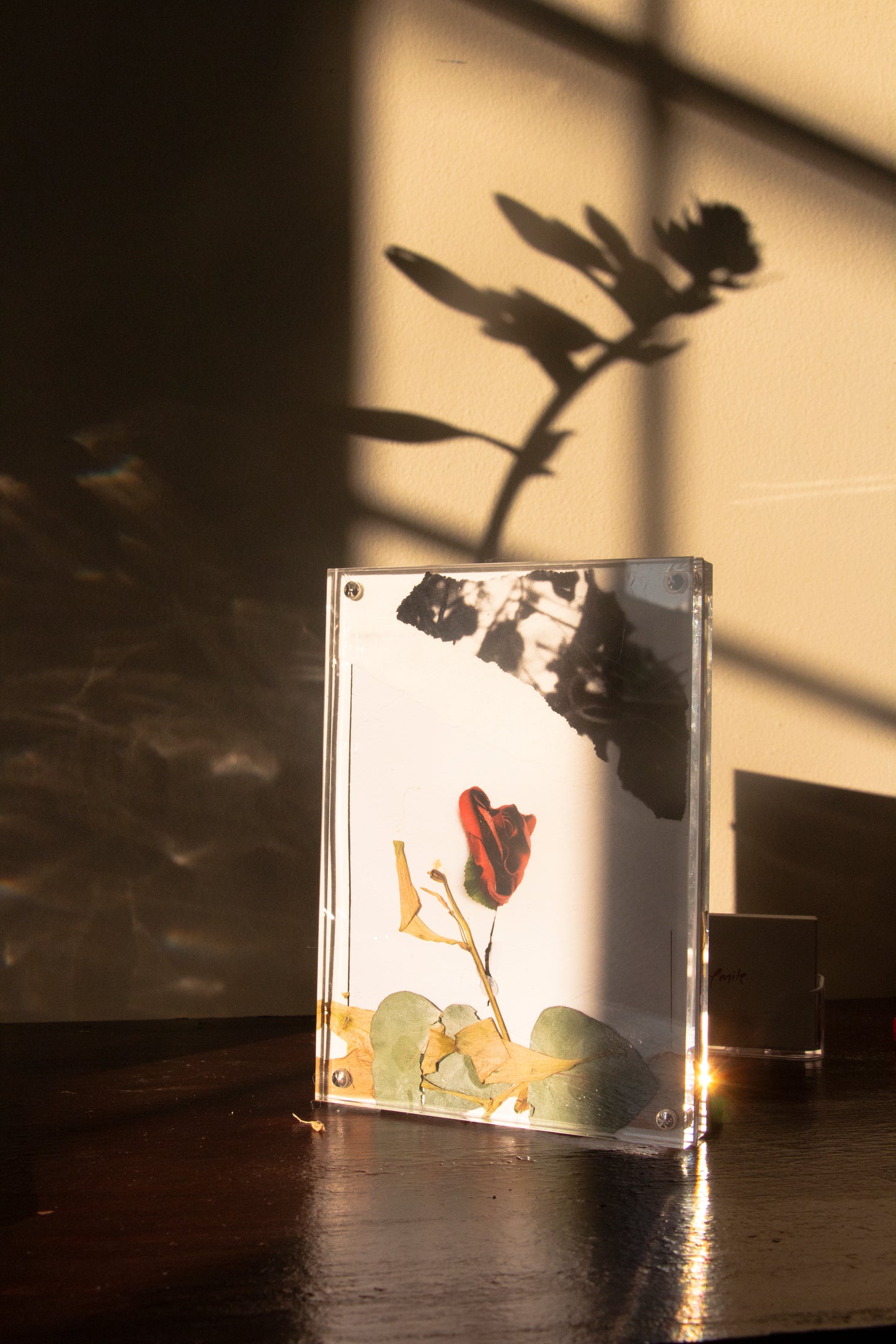 Garden Frame 003 [Secret Garden] - 5 x 7