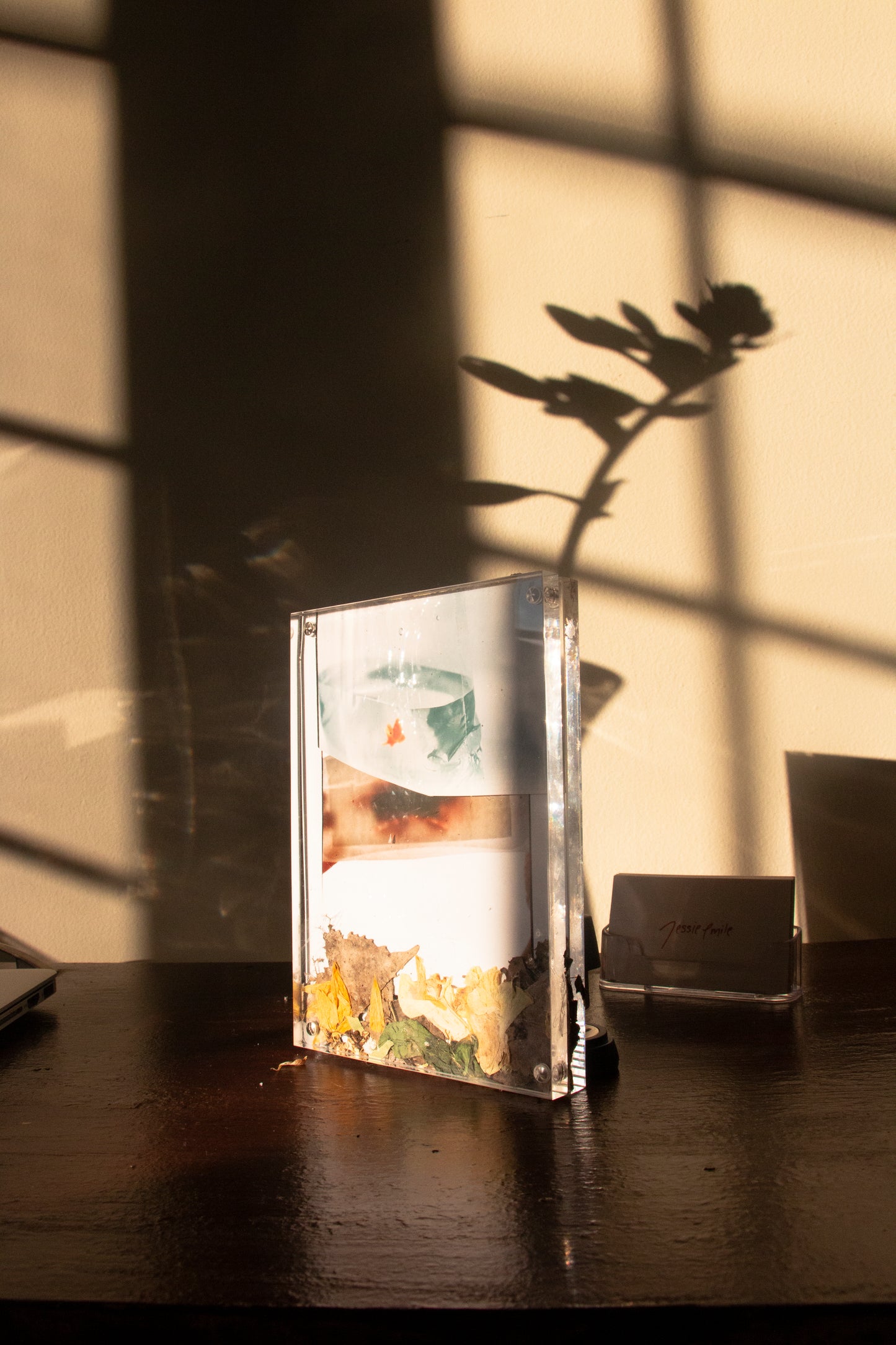 Garden Frame 005 [Secret Garden] - 5 x 7