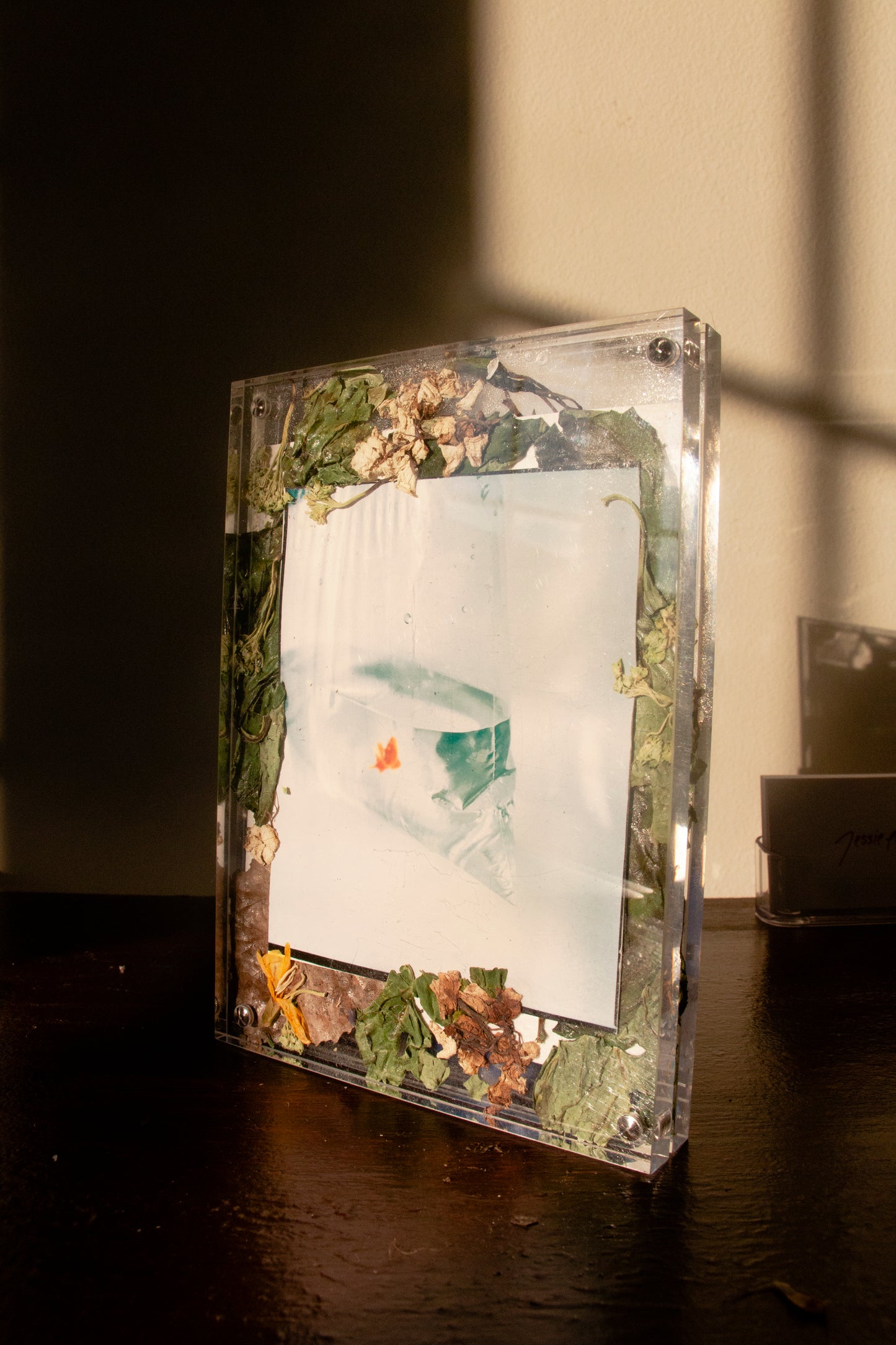 Garden Frame 006 [Secret Garden] - 5 x 7