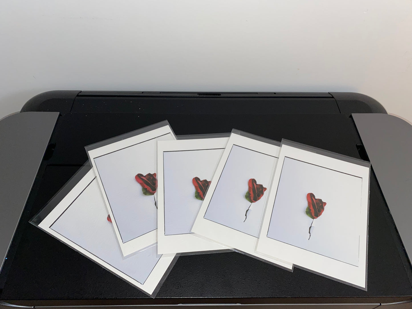 Bloody [Secret Garden] - 5 x 7 Cotton Print