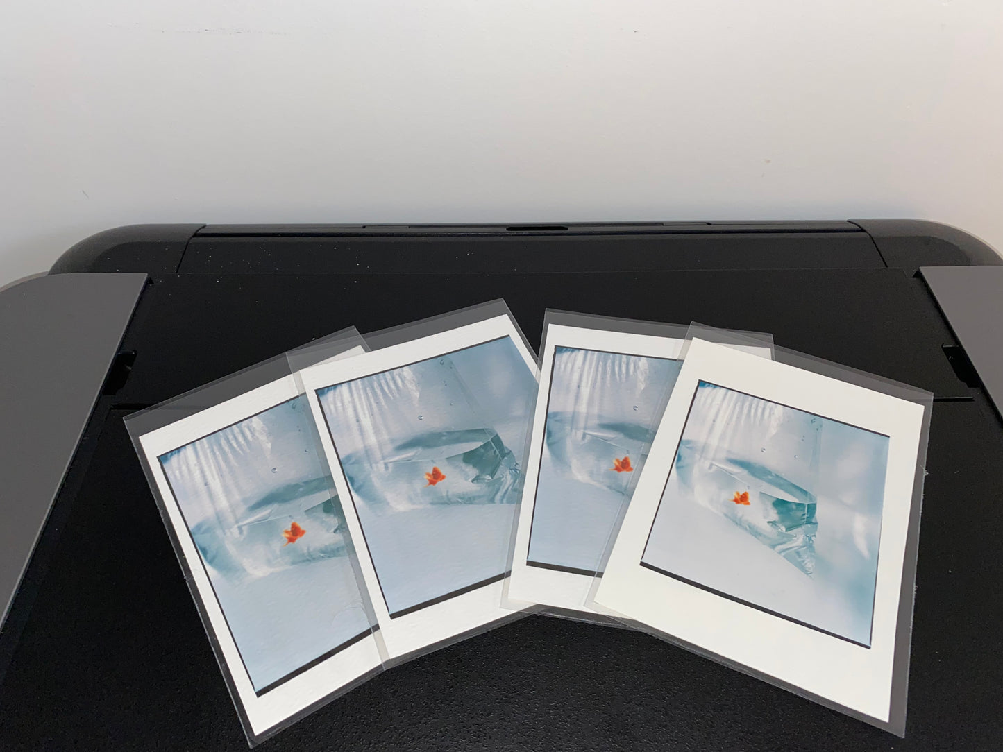 Poisson Rouge [Secret Garden] - 5 x 7 Cotton Print