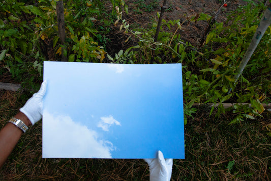 Firmament 01 [Daydream] - 19 x 13 Cotton Print