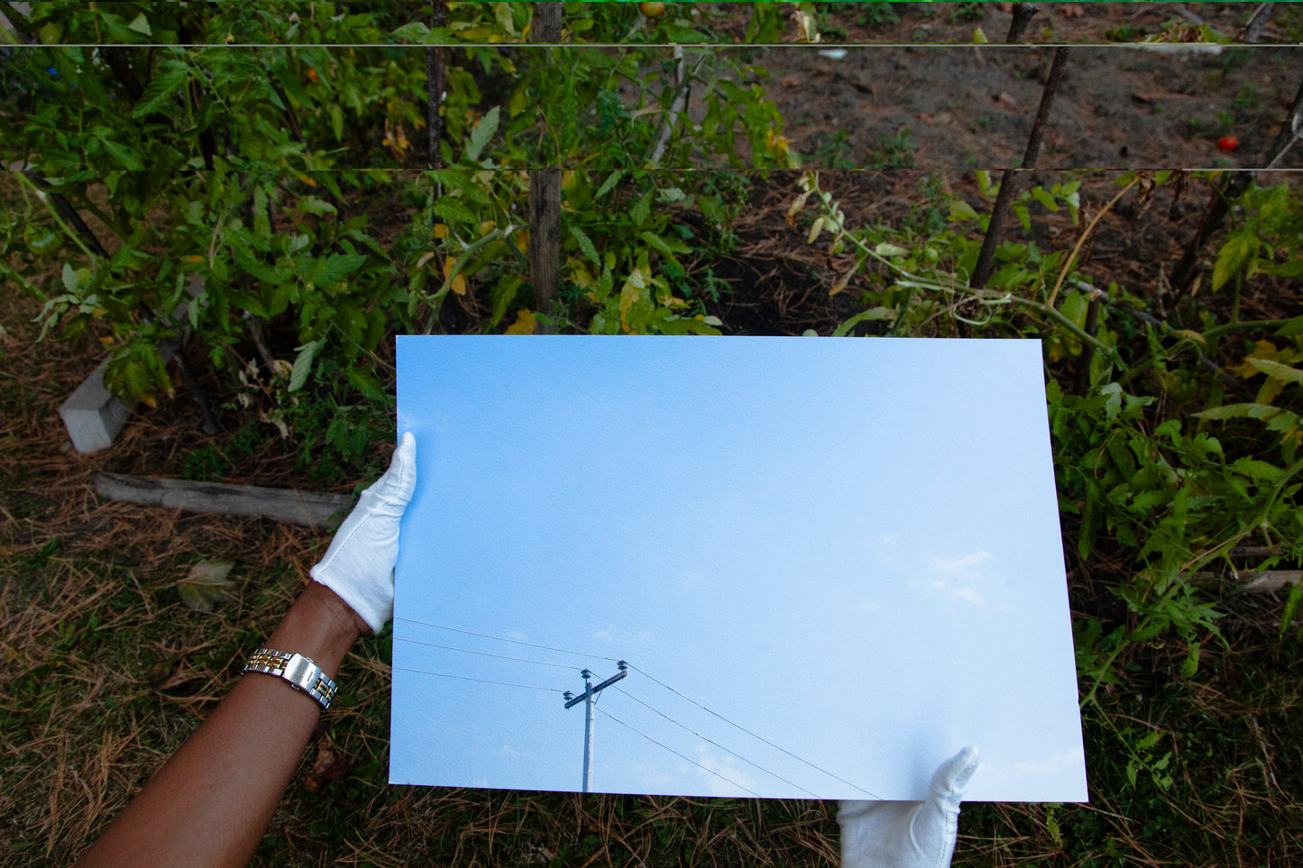 Firmament 02 [Daydream] - 19 x 13 Cotton Print