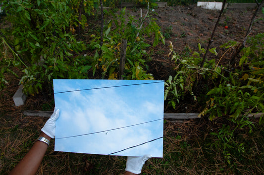 Firmament 05 [Daydream] - 19 x 13 Cotton Print