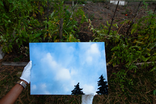 Firmament 06 [Daydream] - 19 x 13 Cotton Print