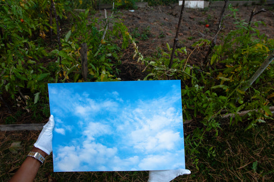 Firmament 07 [Daydream] - 19 x 13 Cotton Print