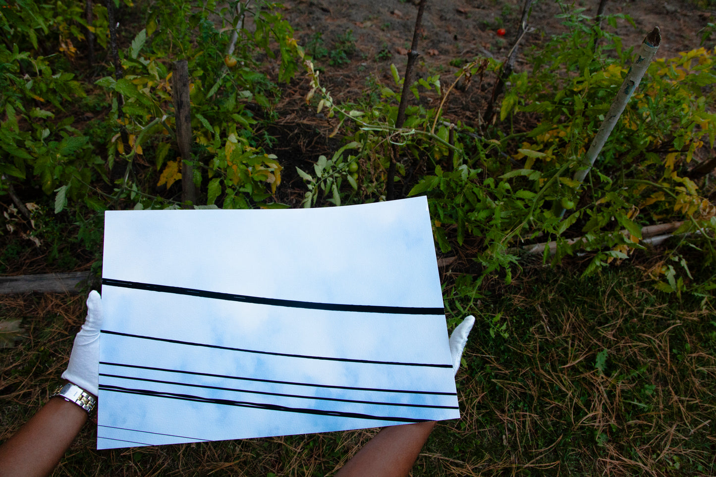 Firmament 08 [Daydream] - 19 x 13 Cotton Print