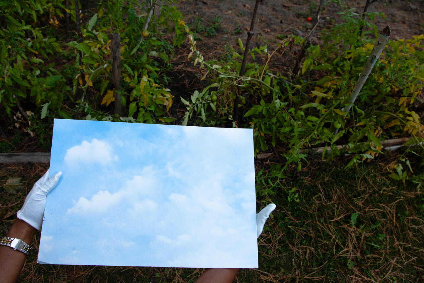 Firmament 09 [Daydream] - 19 x 13 Cotton Print