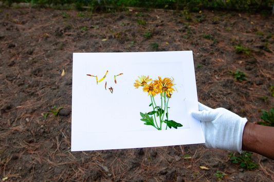 Pisse Au Lit [Dans Mon Jardin] - 8.5 x 11 Matte Print