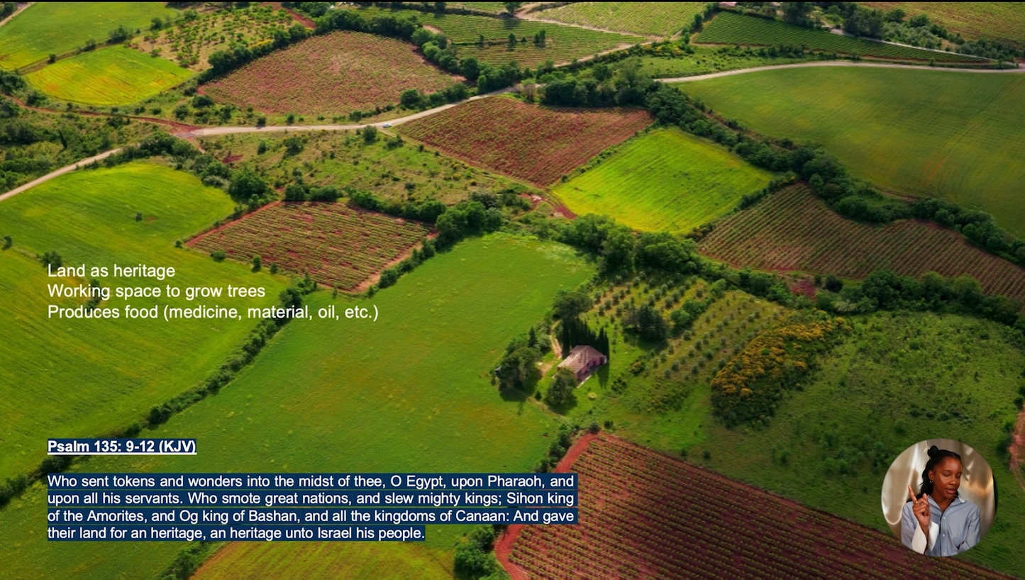 Watch BABYLON IN HIDDEN SIGHT